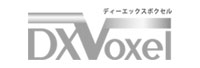 DXVoxel